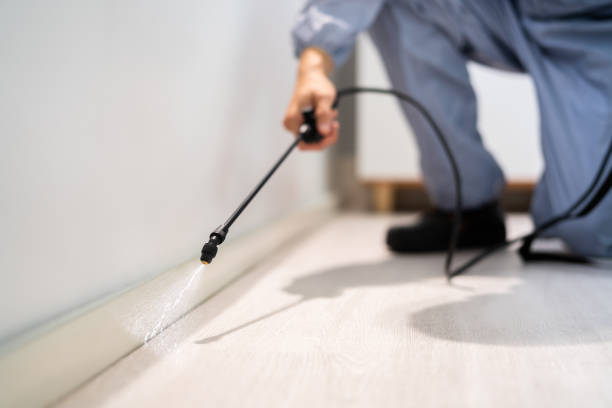 Licensed Termite Control service in Austin, AR - Nex Pest Control