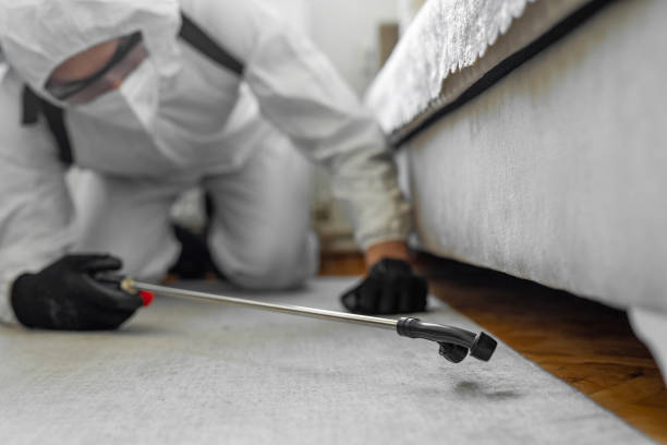 Professional Termite Control technician working in Austin, AR