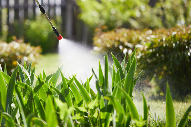 24/7 Emergency Termite Control experts in Austin, AR